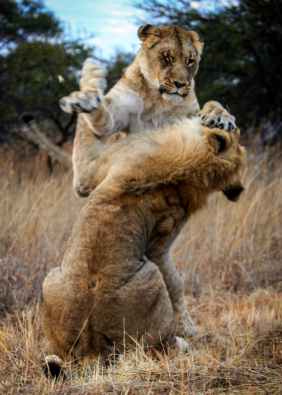 十大外围足球平台app