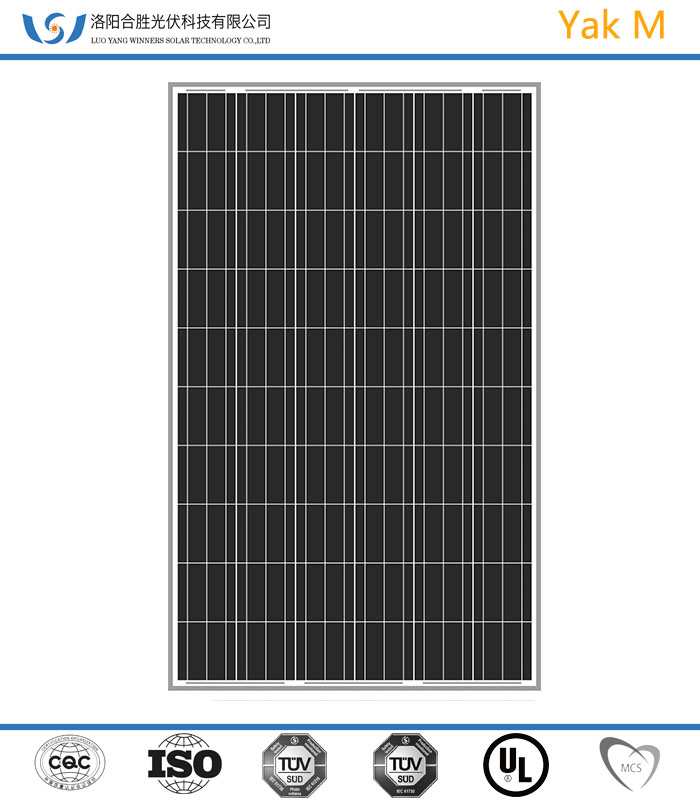 十大外围足球大平台