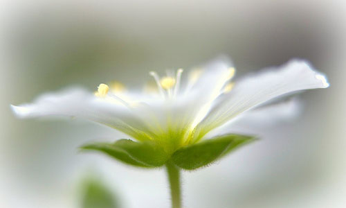 如何使用范文写好论文?_十大外围足球平台app(图2) 十大外围足球平台app