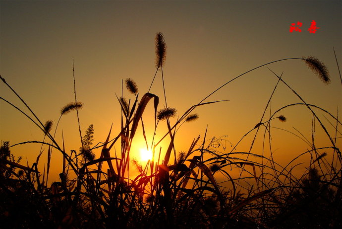 十大外围足球平台app