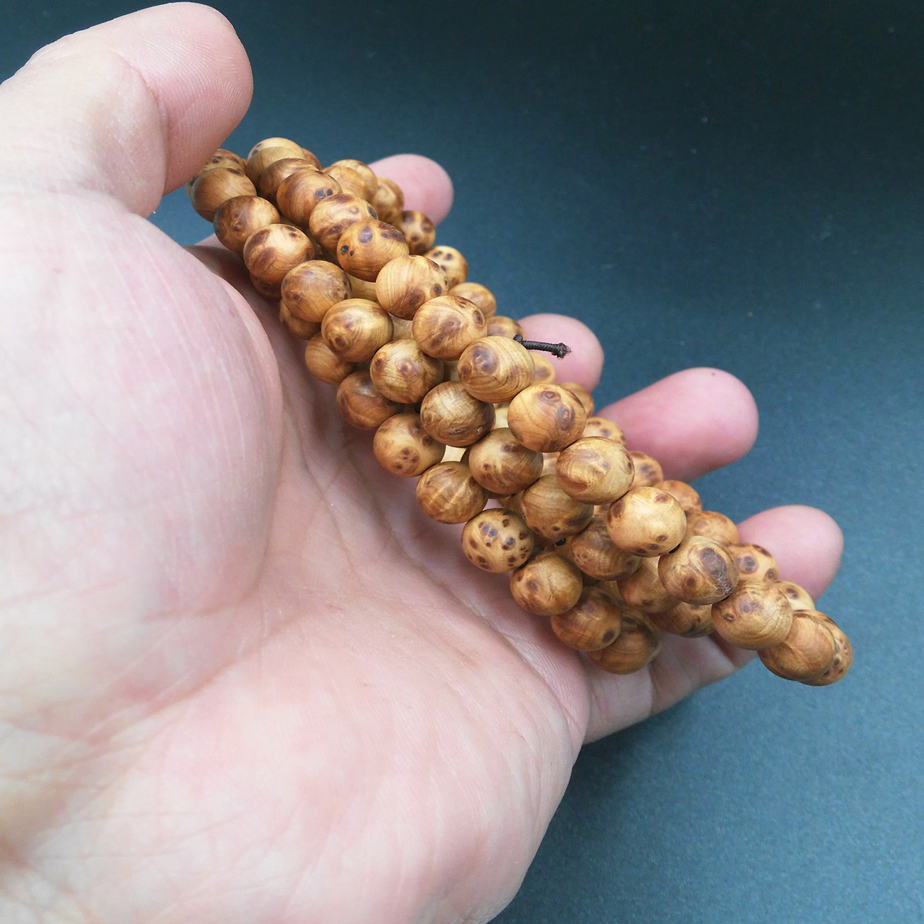 十大外围足球大平台|“日本木材应用与木结构技术培训中心(南京)”在我校挂牌(图2) 十大外围足球大平台