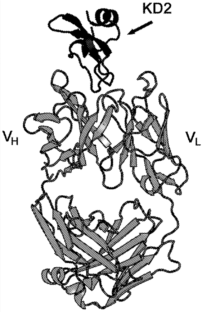 十大外围足球平台app手机版