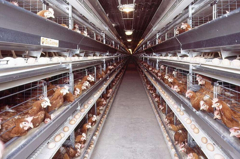 十大外围足球平台app手机版