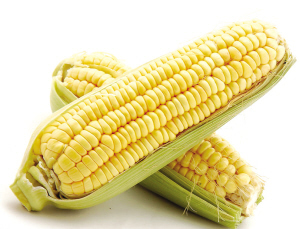 【十大外围足球平台app】乡村旅游发展与新农村建设互动分析(图3) 十大外围足球大平台