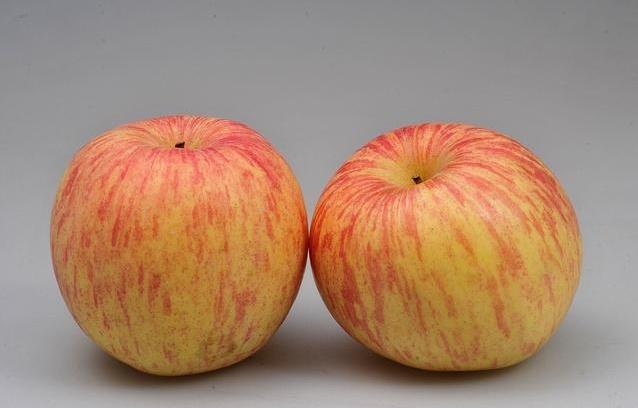 十大外围足球大平台-“熊文愈先生百岁寿辰学术研讨会”暨“江苏生态文明高层学术论坛”在南林大举行(图2) 十大外围足球平台app手机版