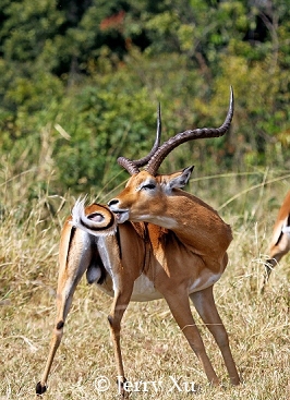 十大外围足球大平台:东林新生自述震后10年成长故事(图1) 十大外围足球大平台