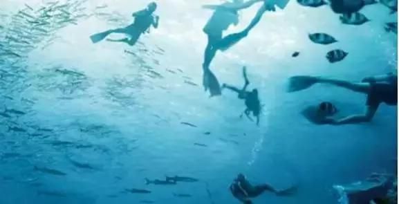 改革开放过程中的办高校大学生马克思主义信仰-十大外围足球大平台(图2) 十大外围足球平台app手机版