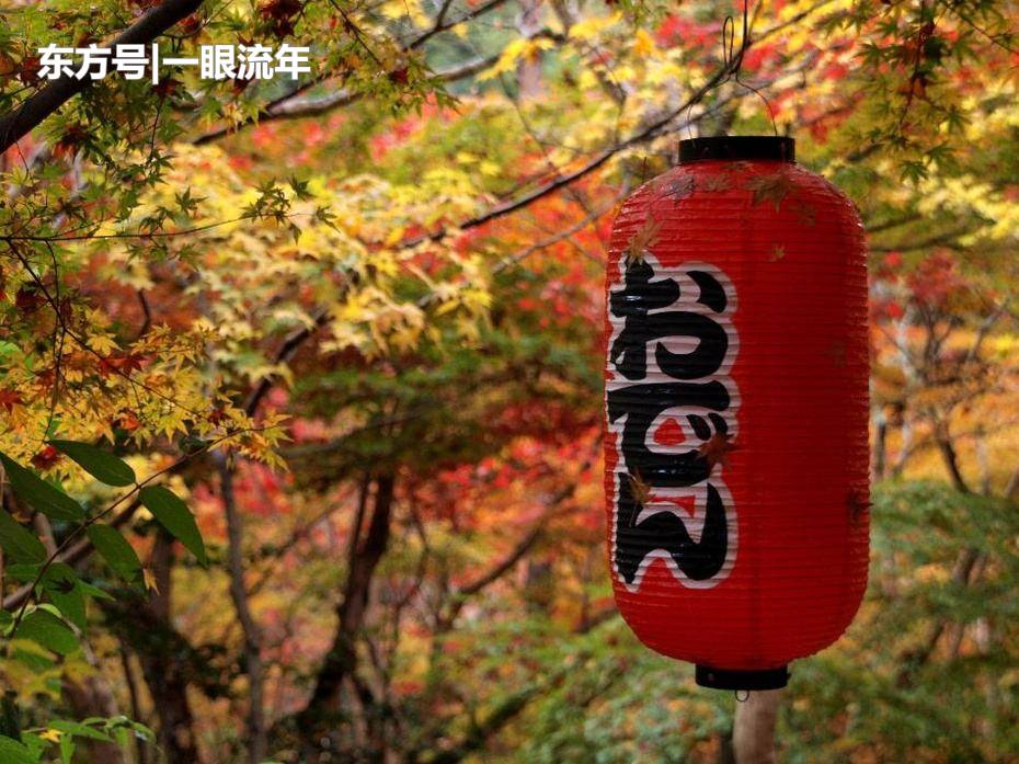 浅谈个税改革后工资薪金项目的个人所得税纳税_十大外围足球平台app手机版(图4) 十大外围足球大平台