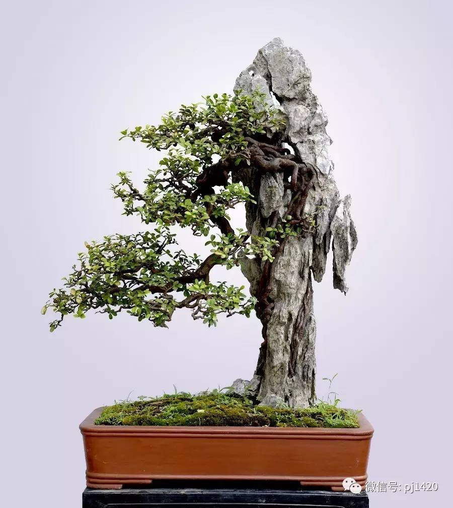 自然发展观和可持续发展-十大外围足球平台app手机版(图3) 十大外围足球平台app