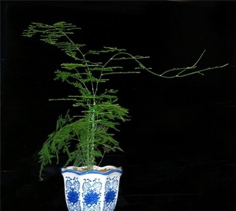 【十大外围足球平台app手机版】五四青年节心得体会范文两篇(图2) 十大外围足球大平台