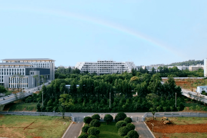 ‘十大外围足球平台app手机版’
秋天的第一份offer(图13)