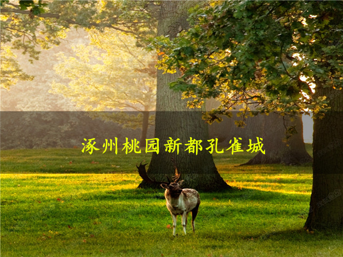 十大外围足球平台app