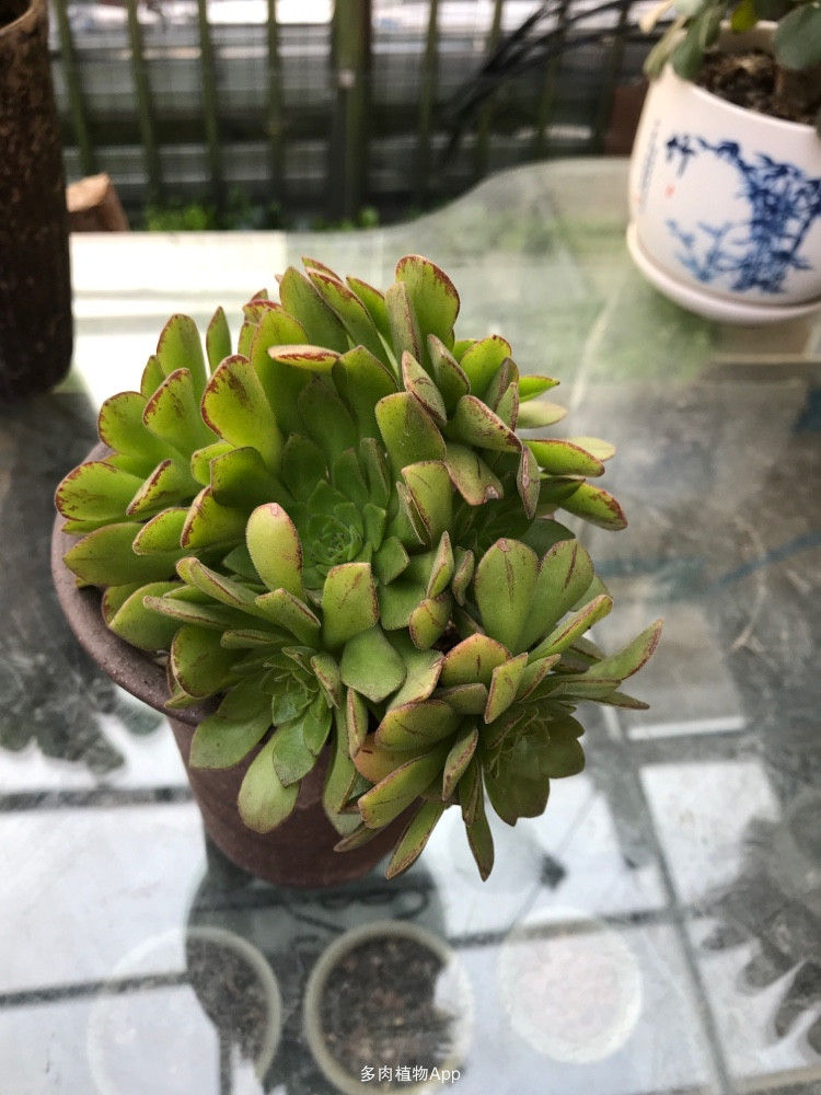 ‘十大外围足球平台app手机版’提高我国产业国际竞争力应实现三大创新(图1) 十大外围足球大平台