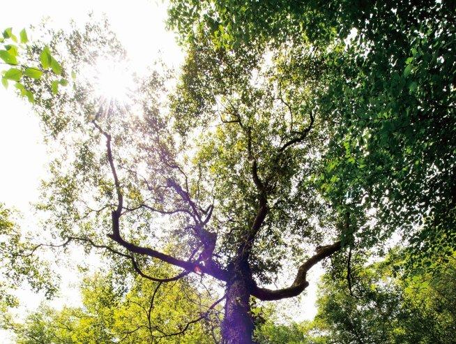 十大外围足球平台app手机版