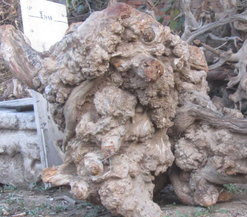 十大外围足球平台app手机版