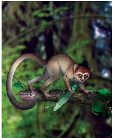 十大外围足球平台app