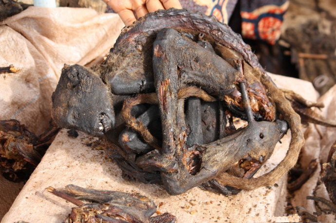 十大外围足球平台app