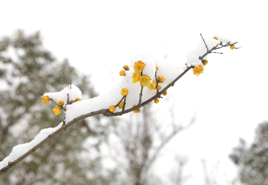 十大外围足球平台app手机版