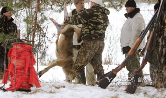 十大外围足球平台app