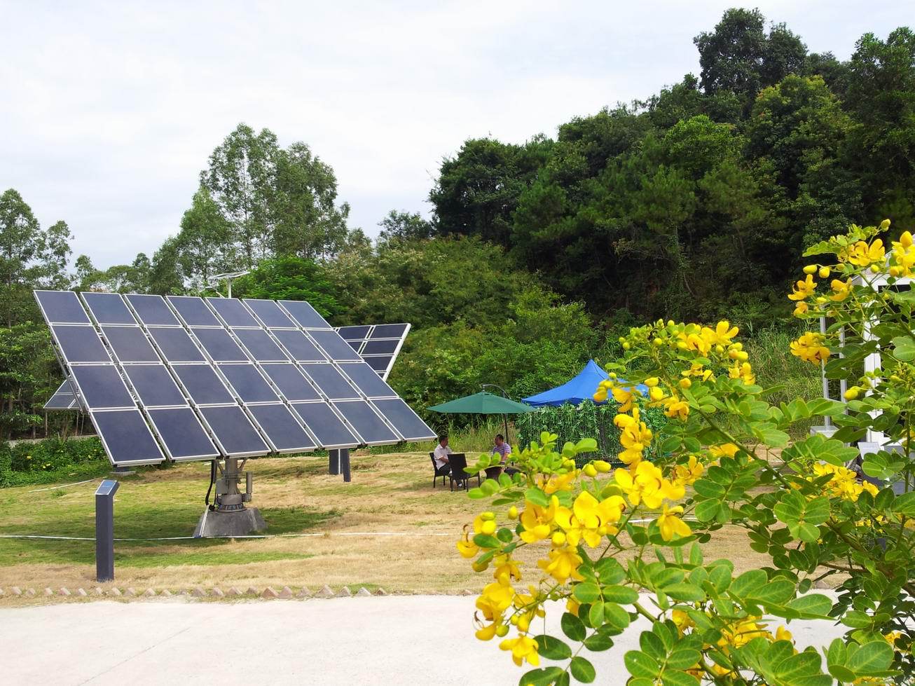 浅谈电信投资的特点‘十大外围足球大平台’(图1) 十大外围足球平台app