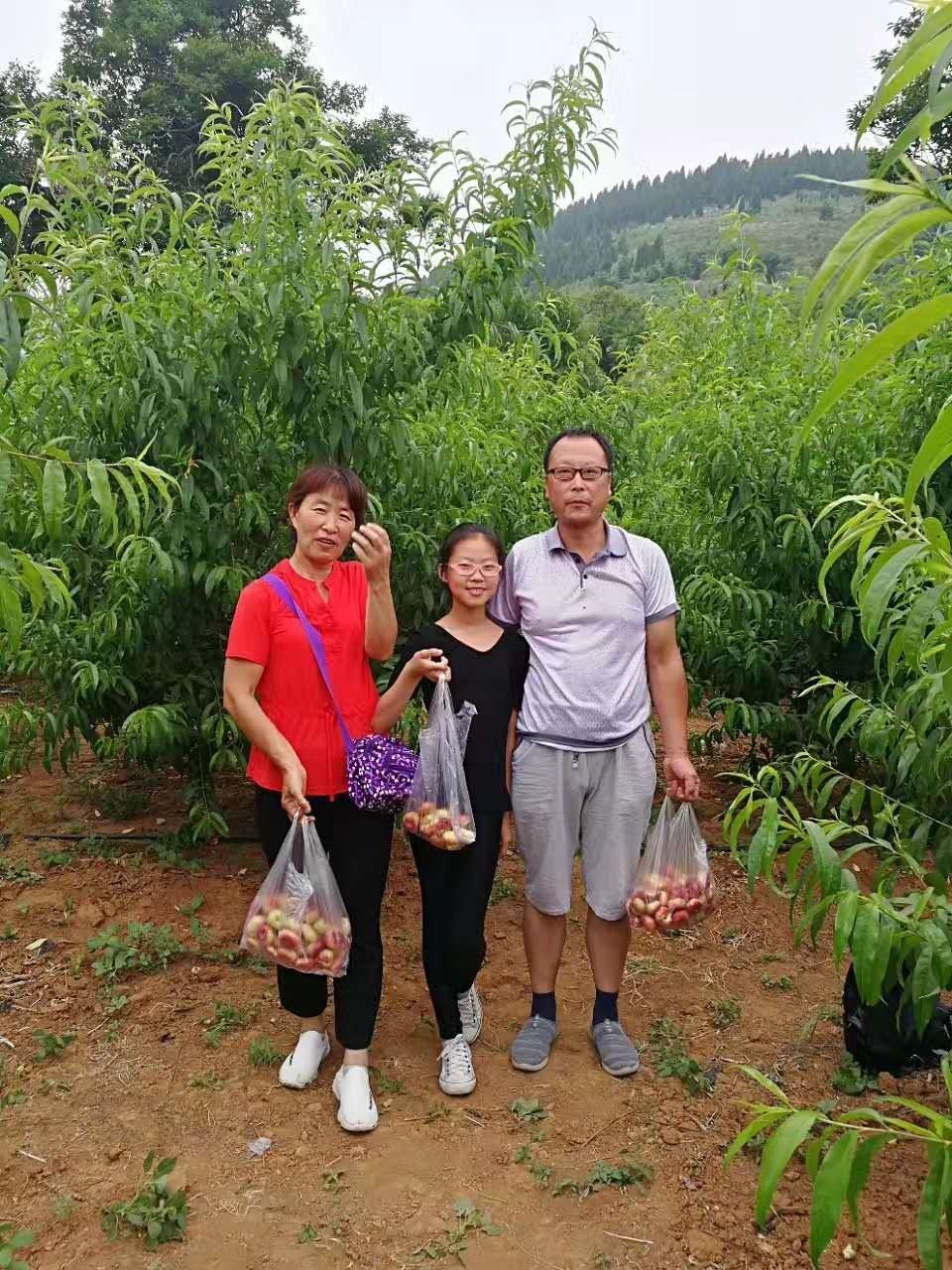 十大外围足球大平台