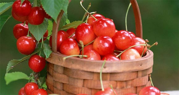 十大外围足球大平台