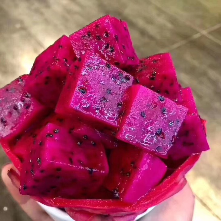 中国盆景艺术鉴赏论文“十大外围足球平台app手机版”(图3) 十大外围足球平台app