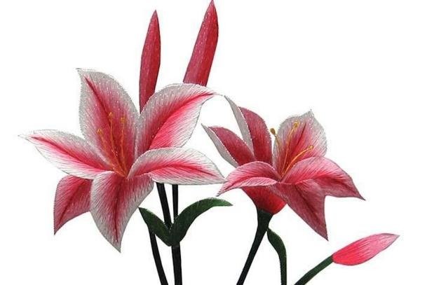 特色林业奏响绿色富民曲【十大外围足球大平台】(图4) 十大外围足球大平台