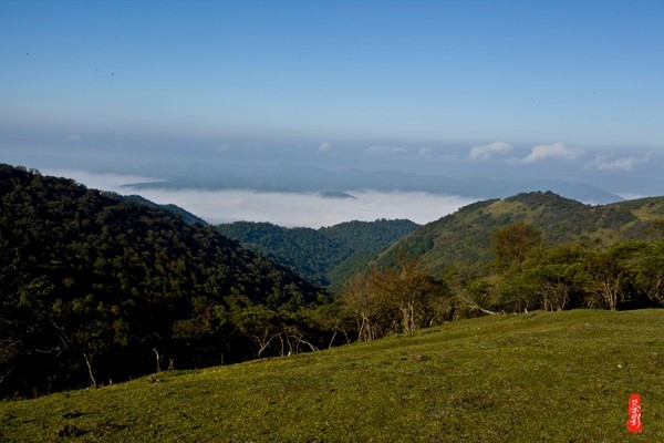 十大外围足球大平台-我校雪雕团队在第九届国际大学生雪雕大赛中荣获三等奖(图4) 十大外围足球平台app手机版