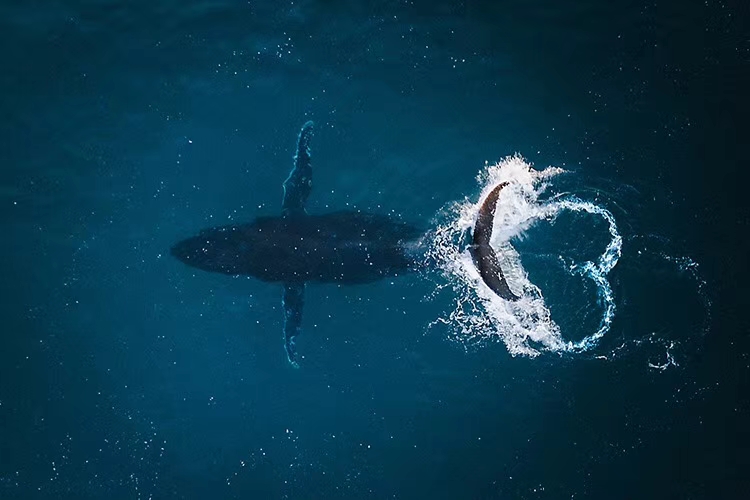 十大外围足球平台app