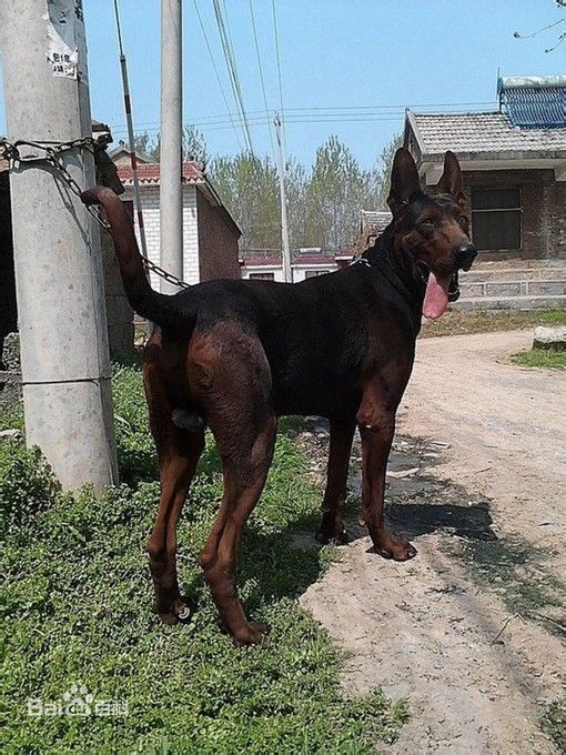 十大外围足球平台app