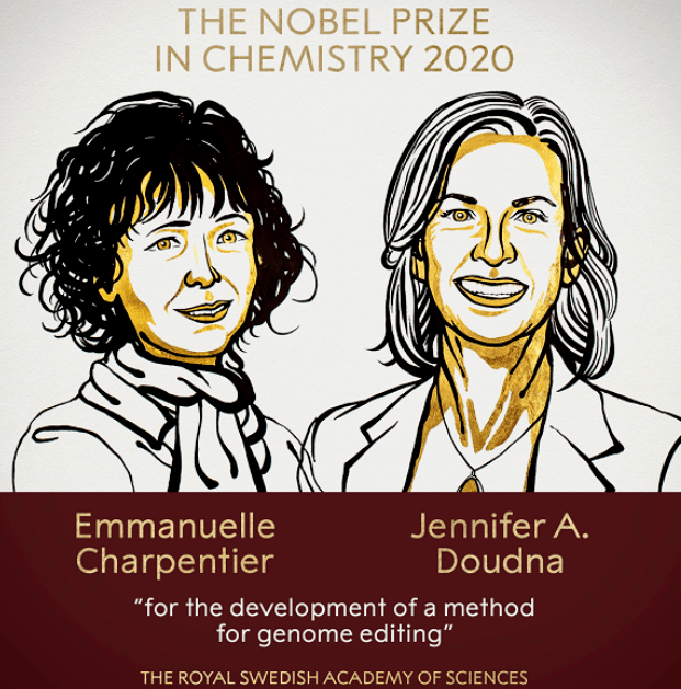 Discovery vs. Development:从诺奖看论文首发权的重要性-十大外围足球平台app(图1)
Discovery vs. Development:从诺奖看论文首发权的重要性-十大外围足球平台app(图1)