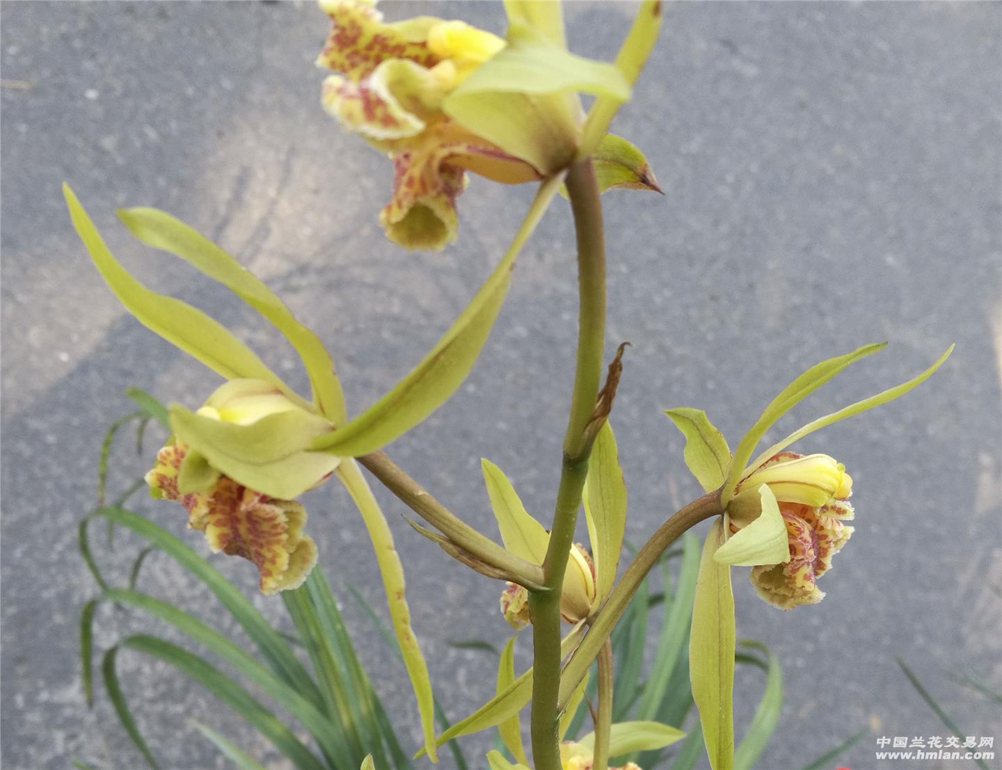 十大外围足球平台app手机版