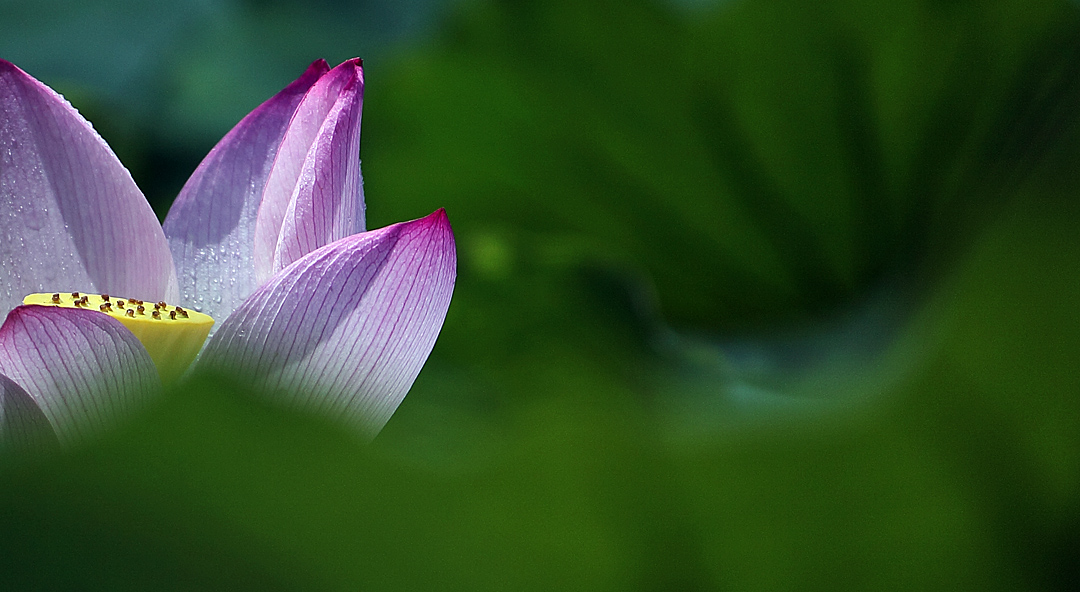 十大外围足球大平台:我校四名青年教师在全省高校第二届青年教师教学竞赛中获佳绩(图1) 十大外围足球平台app