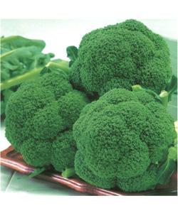 十大外围足球大平台