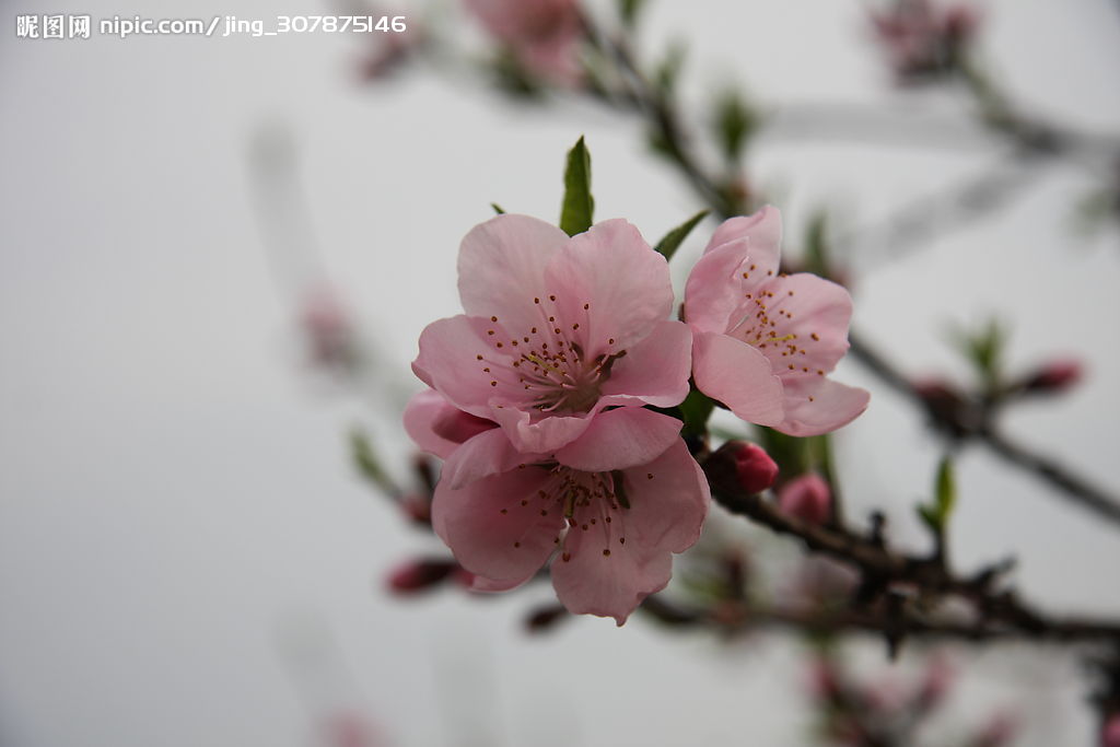 十大外围足球大平台