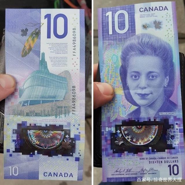 十大外围足球平台app