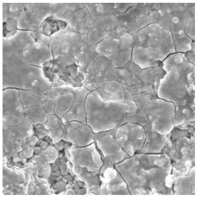十大外围足球平台app手机版