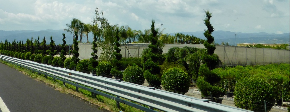 十大外围足球平台app