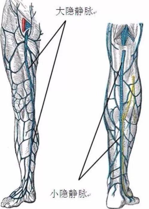十大外围足球大平台