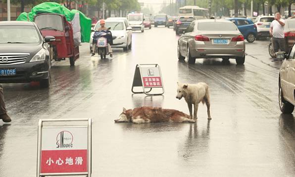 十大外围足球大平台